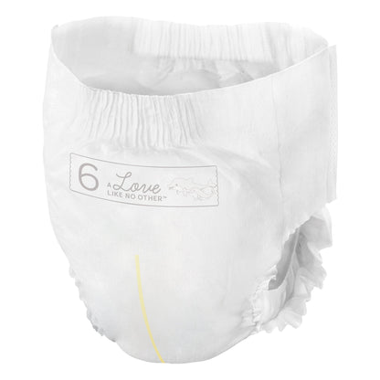Bambo® Nature Dream Training Pants, Size 6 1000016931